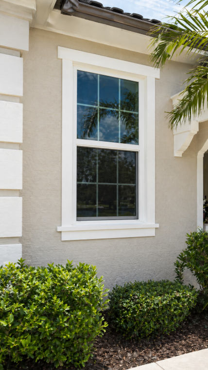 window installation clermont